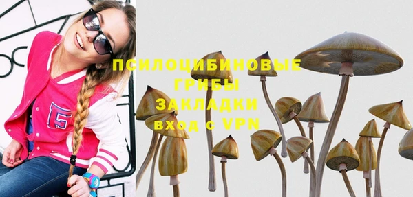 сатива Балабаново