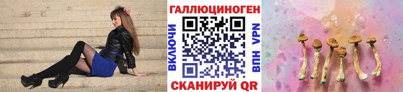 ОМГ ОМГ как зайти  Менделеевск  Галлюциногенные грибы ЛСД 